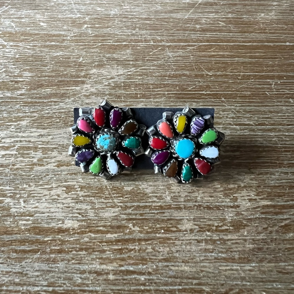 Native American earrings